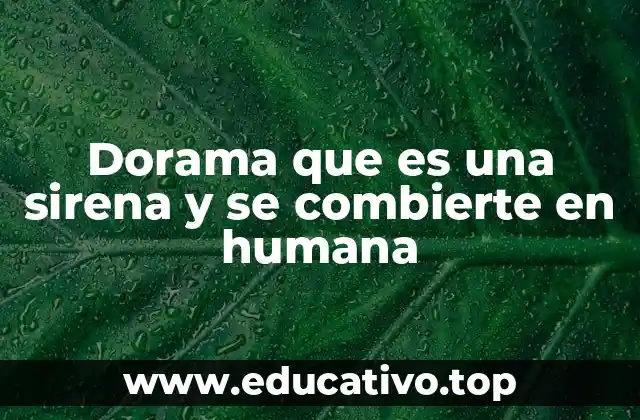 El fascinante mundo de las sirenas en la cultura coreana