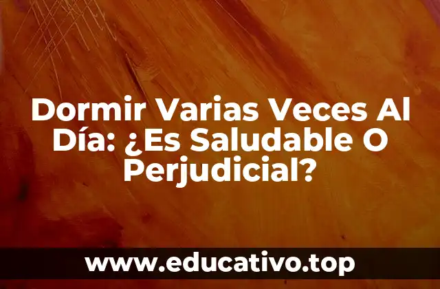 Dormir Varias Veces Al Día: ¿Es Saludable O Perjudicial?