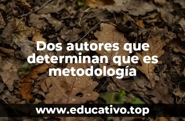 Dos autores que determinan que es metodología