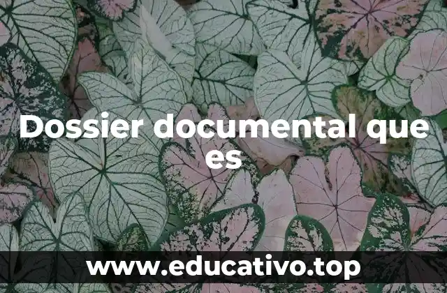 Dossier documental que es