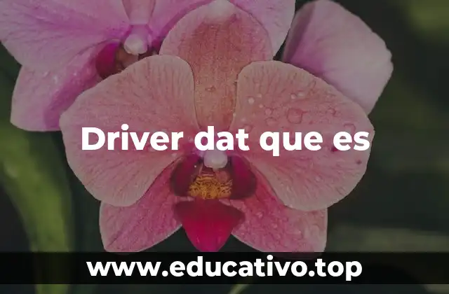Driver dat que es