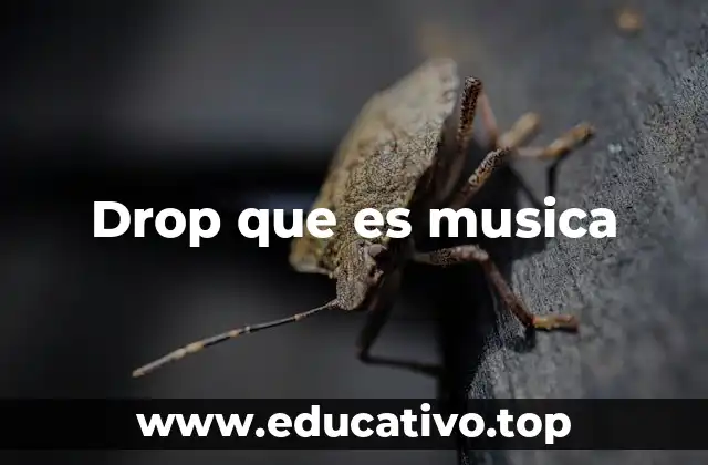 Drop que es musica