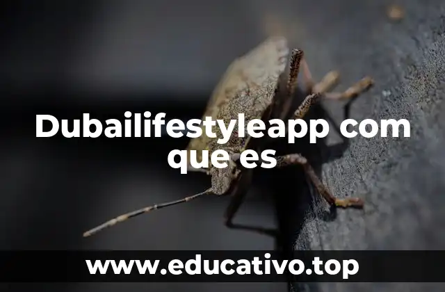 Dubailifestyleapp com que es
