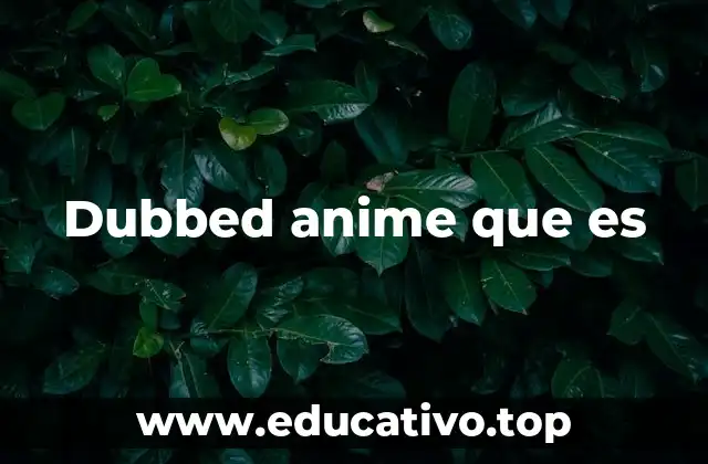 Dubbed anime que es