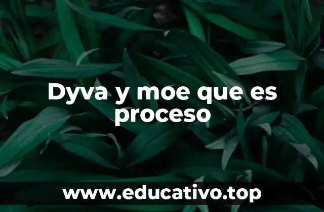 Dyva y moe que es proceso
