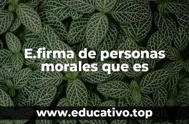 E.firma de personas morales que es
