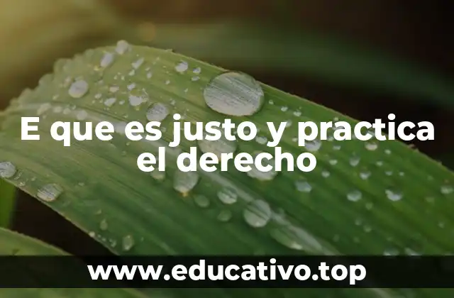 E que es justo y practica el derecho