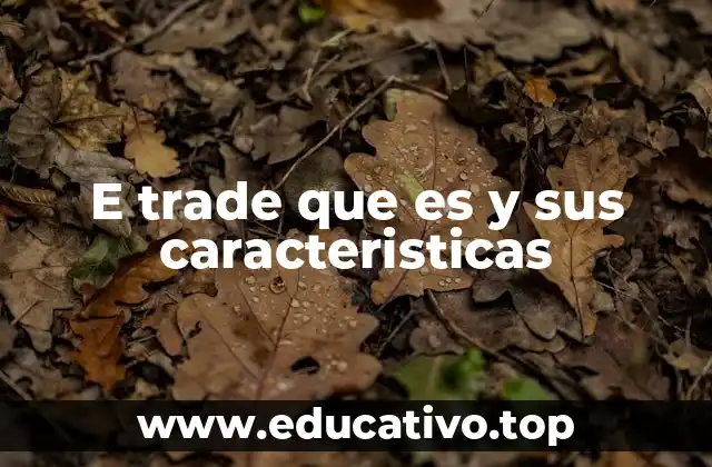 E trade que es y sus caracteristicas