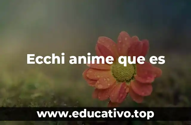 Ecchi anime que es