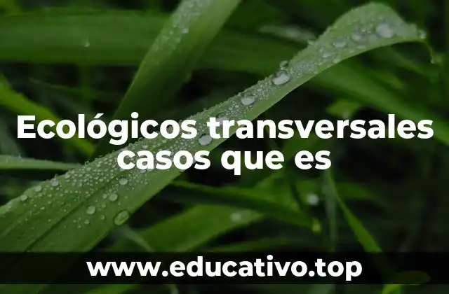 Ecológicos transversales casos que es