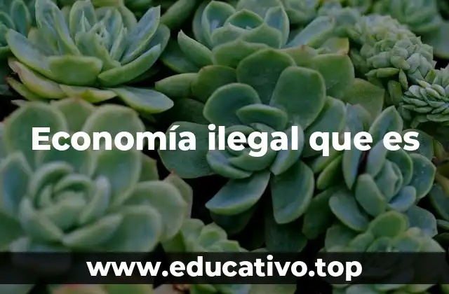 Economía ilegal que es
