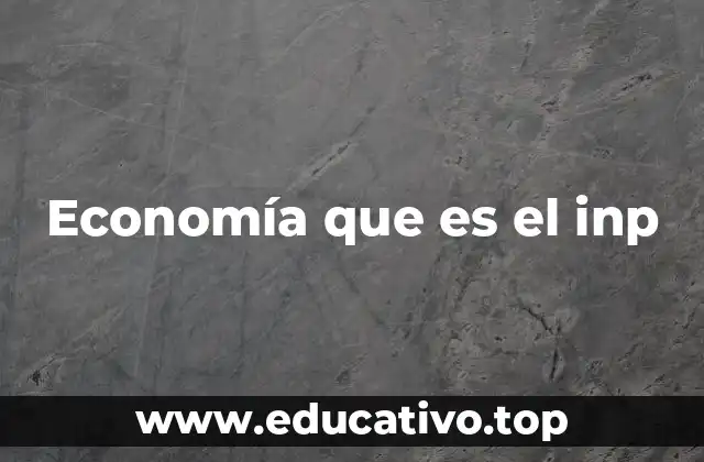 Economía que es el inp