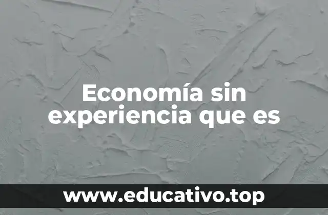 Economía sin experiencia que es
