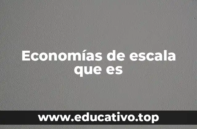 Economías de escala que es