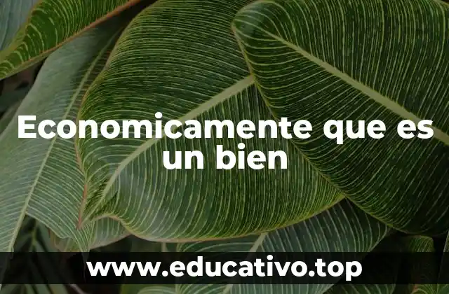 Economicamente que es un bien