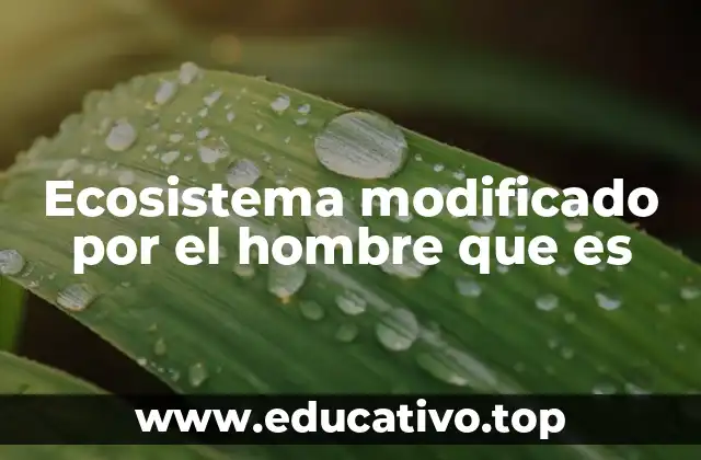 Ecosistema modificado por el hombre que es