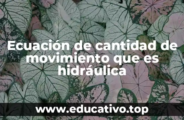 Ecuación de cantidad de movimiento que es hidráulica