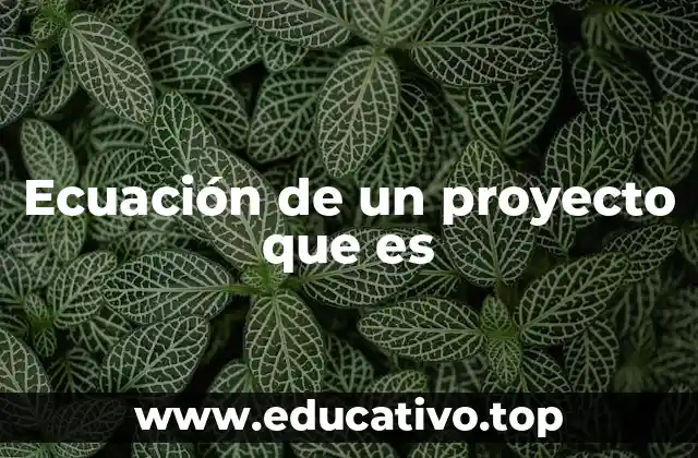 Ecuación de un proyecto que es