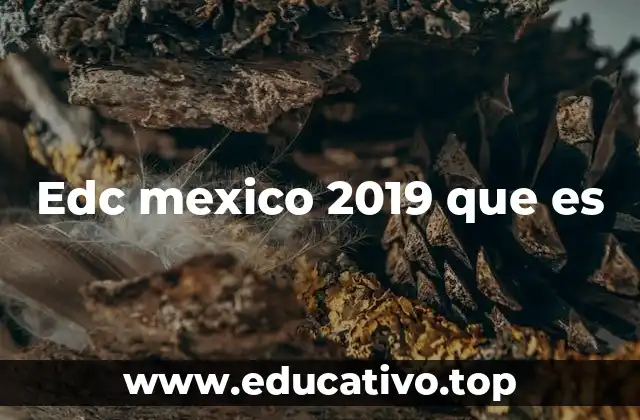 Edc mexico 2019 que es