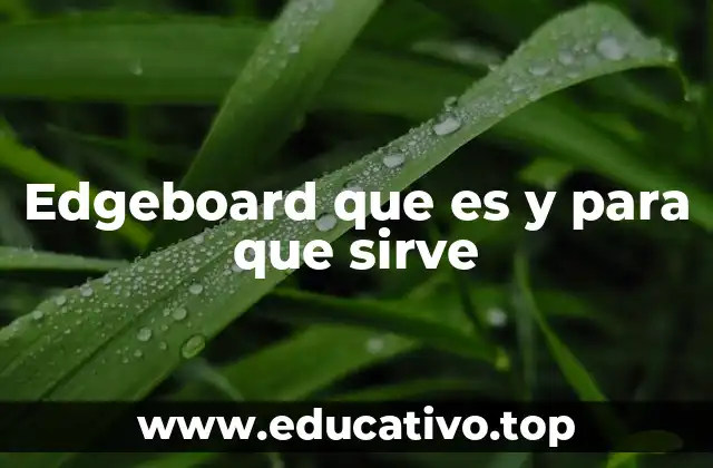 Edgeboard que es y para que sirve