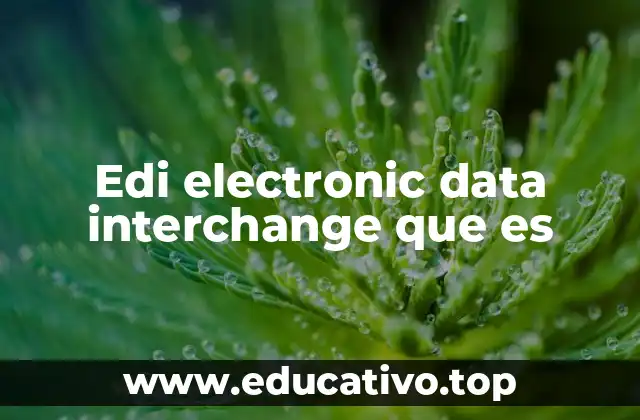 Edi electronic data interchange que es