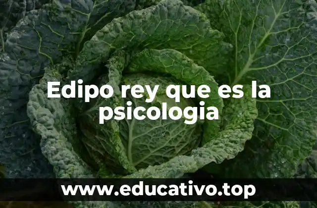 Edipo rey que es la psicologia