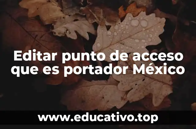 Editar punto de acceso que es portador México
