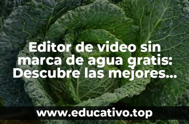 Editor de video sin marca de agua gratis: Descubre las mejores opciones