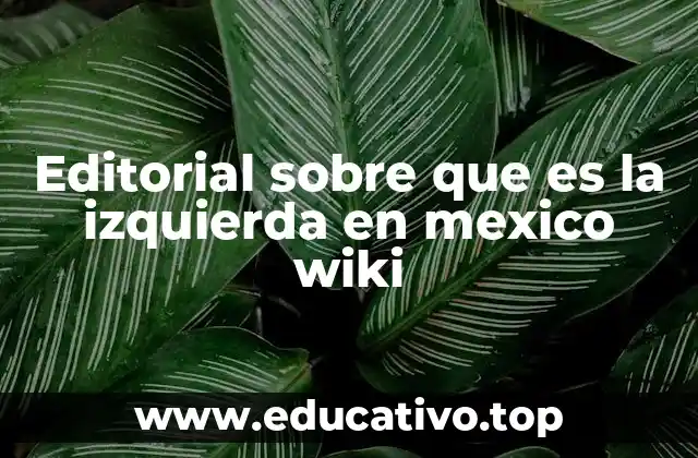 Editorial sobre que es la izquierda en mexico wiki