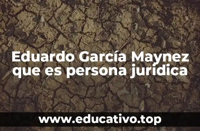 Eduardo García Maynez que es persona juridica
