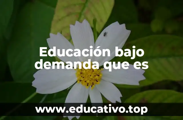 Educación bajo demanda que es