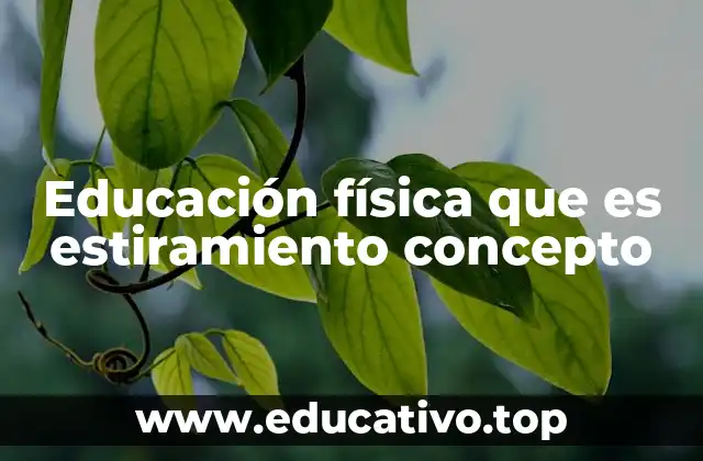 Educación física que es estiramiento concepto