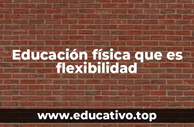 Educación física que es flexibilidad