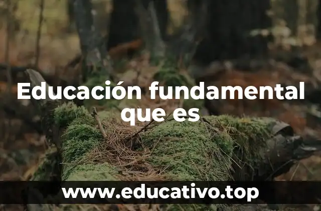 Educación fundamental que es