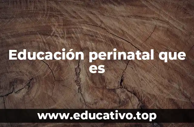 Educación perinatal que es