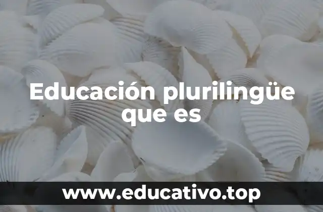 Educación plurilingüe que es