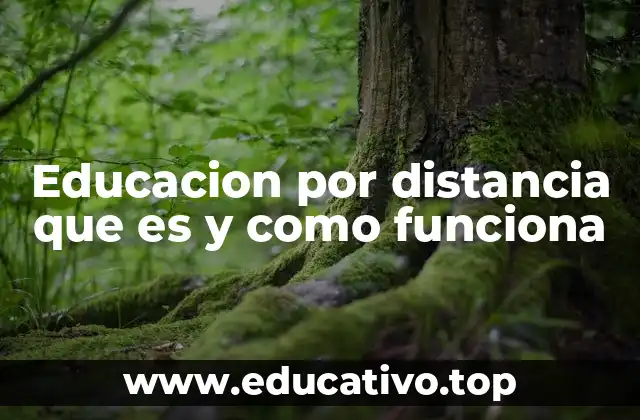Educacion por distancia que es y como funciona