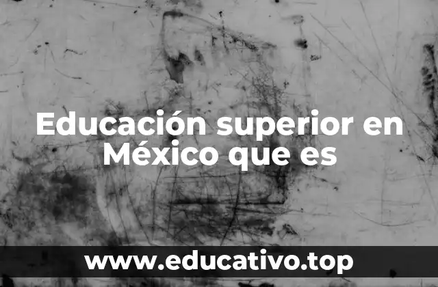 Educación superior en México que es