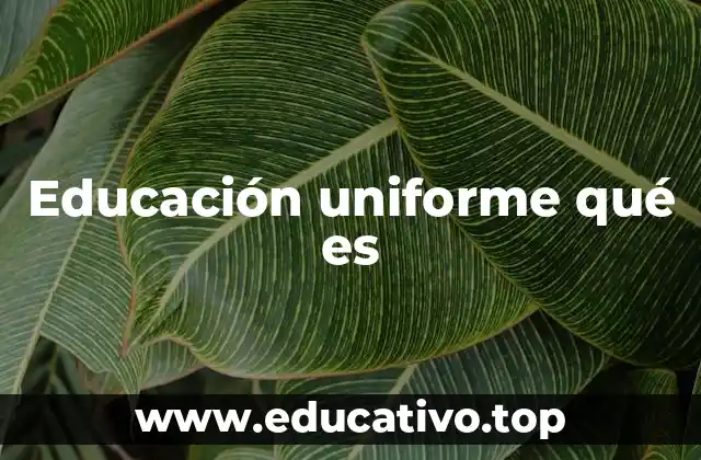 Educación uniforme qué es