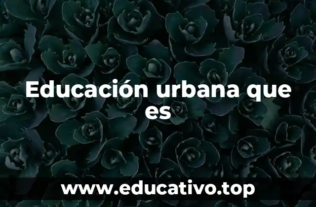 La importancia de adaptar la enseñanza a la vida urbana