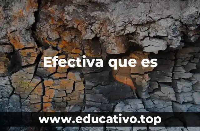 Efectiva que es