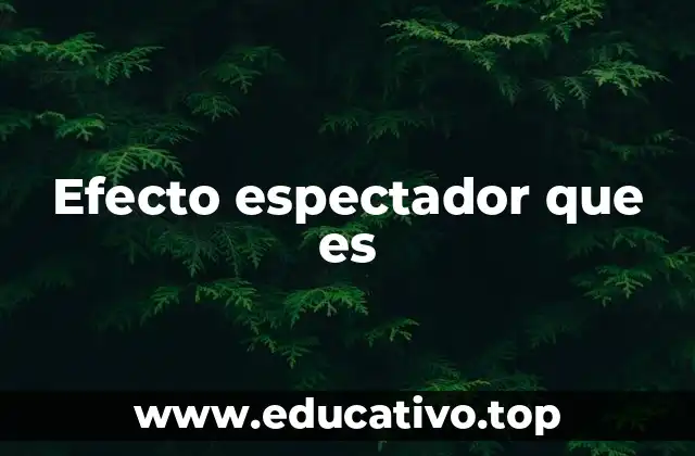 Efecto espectador que es