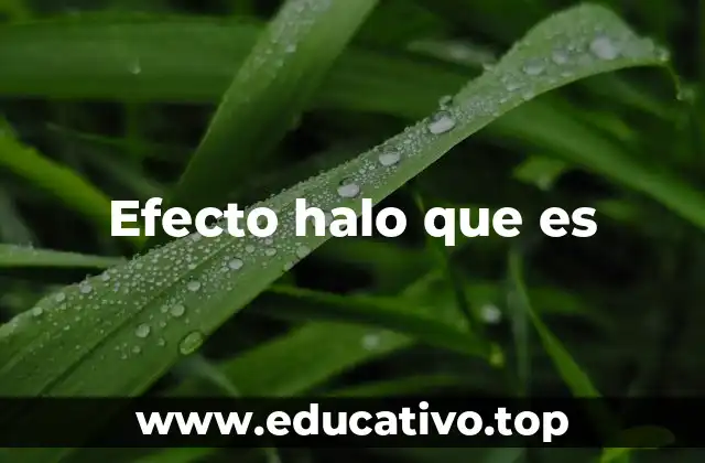 Efecto halo que es