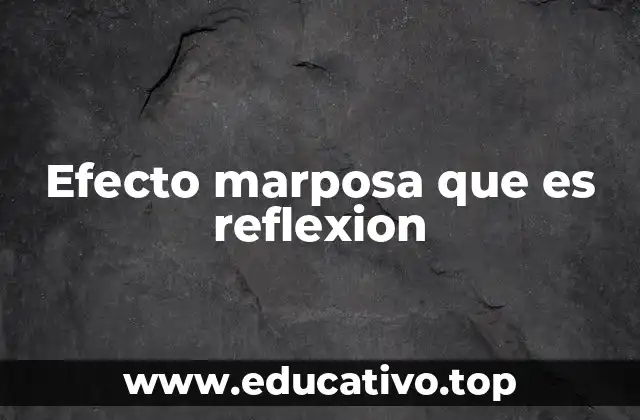 Efecto marposa que es reflexion