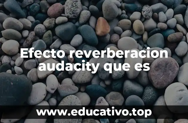 Efecto reverberacion audacity que es