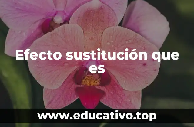 Efecto sustitución que es
