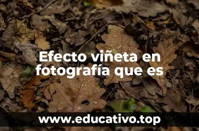 Efecto viñeta en fotografía que es