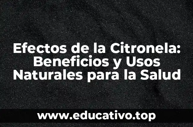 Efectos de la Citronela: Beneficios y Usos Naturales para la Salud