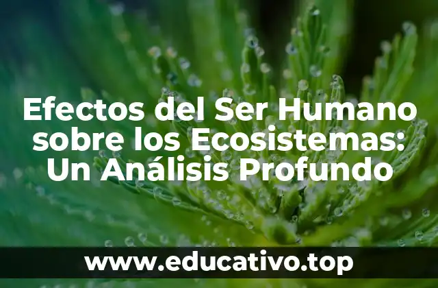 Efectos del Ser Humano sobre los Ecosistemas: Un Análisis Profundo