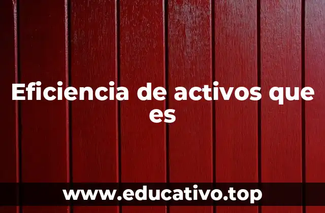Eficiencia de activos que es